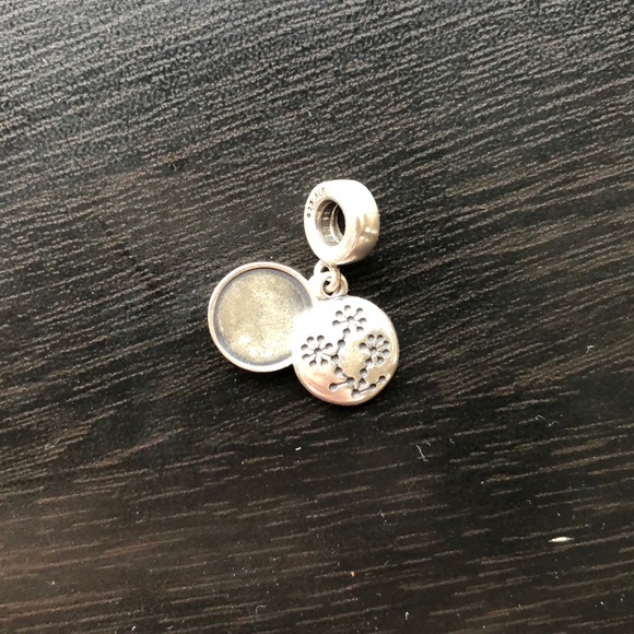 Pandora Lucern Flower Charm (Retired) - Picture 7 of 7